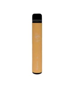 Elf Bar Disposable Vape (600 Puffs) - The Nicotine Store